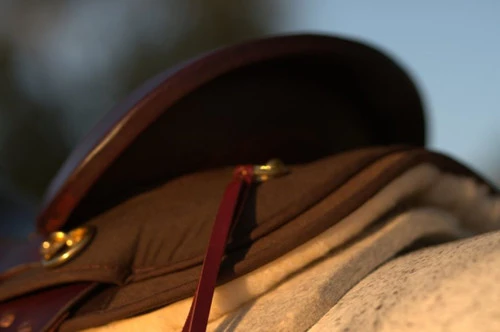 High Horse Highbank Endurance Saddle By Circle Y - Image 2