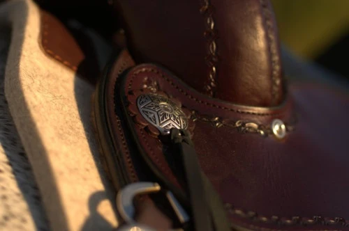 Circle Y Salt River Flex2 Trail Saddle 1667 - Image 2