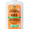 Absorbine Veterinary Liniment Gel - 12 Oz