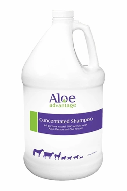 Aloe Advantage Concentrated Shampoo - Gallon - Image 2
