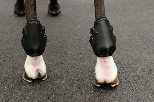 EquiFit AmpTeq Hind Boots - Image 4