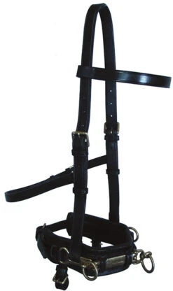 Bobby's English Tack Leather Lunge Caveson