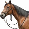 Tory Leather Bitless Poly Bridle With Reins