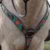 Circle Y Cactus Flower Breast Collar