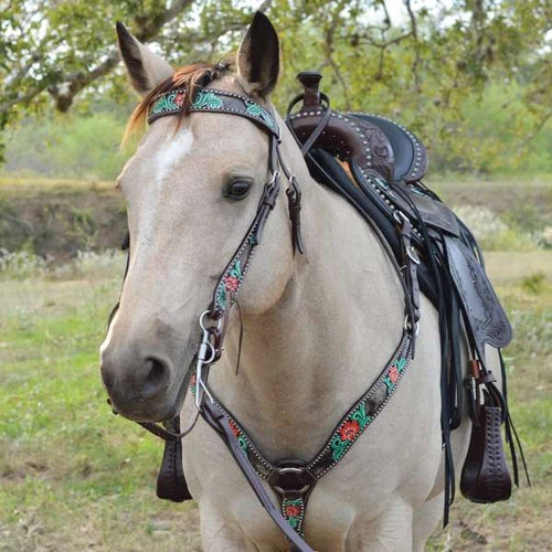 Circle Y Cactus Flower Brow Headstall
