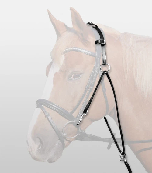 Waldhausen Chambon - Image 2