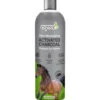 Espree Activated Charcoal Shampoo