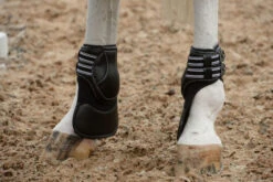 EquiFit ImpacTeq Extended Coverage Hind Boot Liners