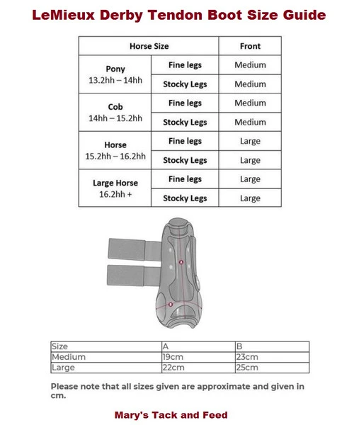 LeMieux Derby Tendon Boots