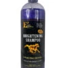 E3 Brightening Shampoo - 32 Oz