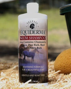 Equiderma Neem Shampoo