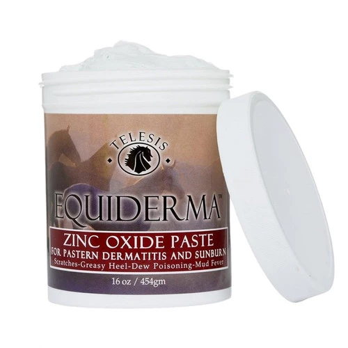 Equiderma Zinc Oxide Paste