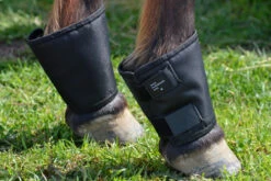 Click Fetlock Shields