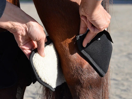 Click Hock Shield Ultra - Image 2