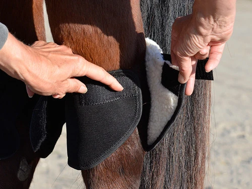 Click Hock Shield Ultra - Image 6