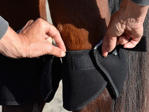 Click Hock Shield Ultra - Image 3