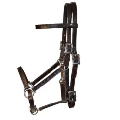 Tucker Horizon Series Halter Bridle