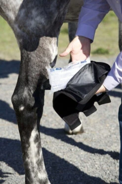 Ice Horse Hock Wraps With Inserts - PAIR