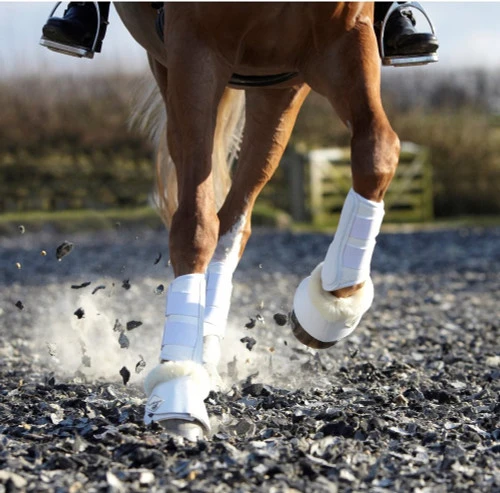 LeMieux Lambswool Overreach Boots - Image 2