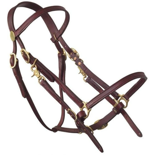 Tucker Halter Bridle Lite - Image 2