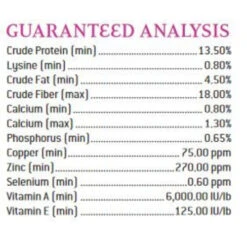 Puirna Miniature Horse And Pony