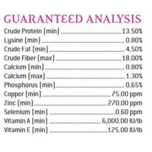 Puirna Miniature Horse And Pony