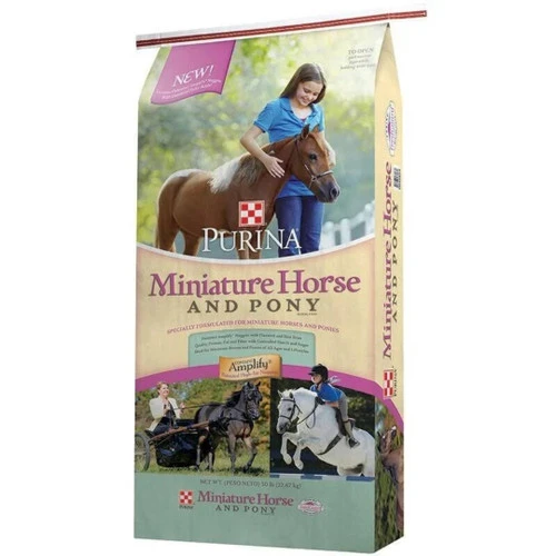 Puirna Miniature Horse And Pony - Image 2