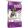 Purina Omolene 500 Competition