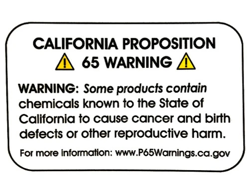 Decker Buddy Body Brush