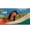 ZOETIS Quest Gel Dewormer