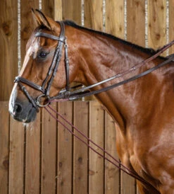 Dy'on Rope Draw Reins