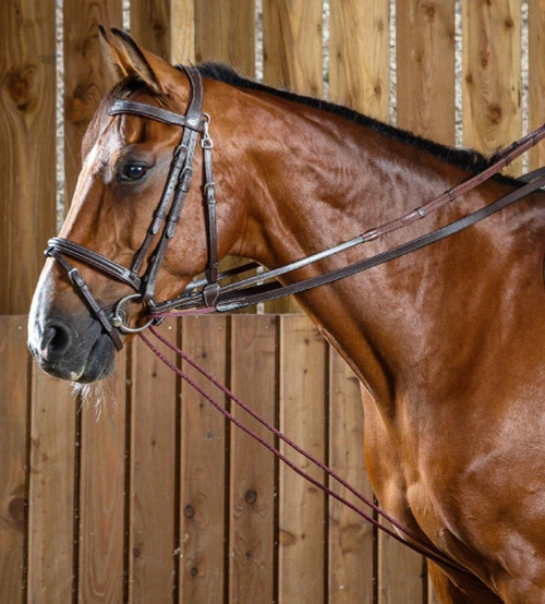Dy'on Rope Draw Reins
