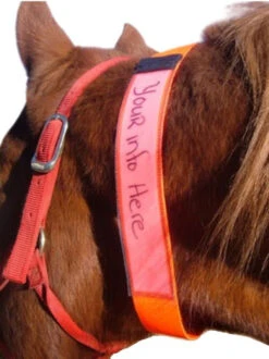 EquestriSafe Horse Identification Collar