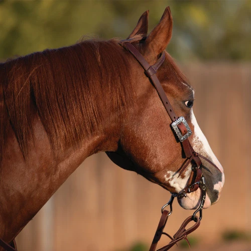 Weaver Leather Weaver Southwest Square One Ear Headstall - Image 2