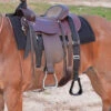 Cashel Step Up Stirrup