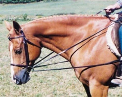 Tory Leather Draw Reins With Loop End