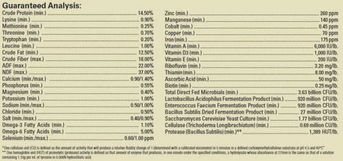 Triple Crown Senior Gold